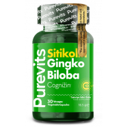 Ginkgo Biloba Citicoline + Focus 