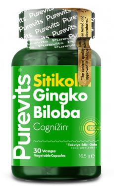 Ginkgo Biloba Citicoline + Focus 